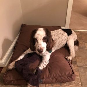 Meet your Posher, Anita